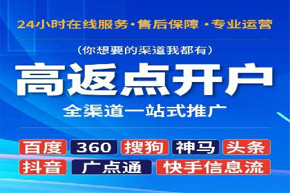 网络推广中竞价广告的投放策略及成功案例